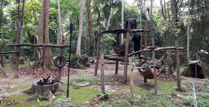 Wrocławskie zoo ratuje zwierzęta w Laosie