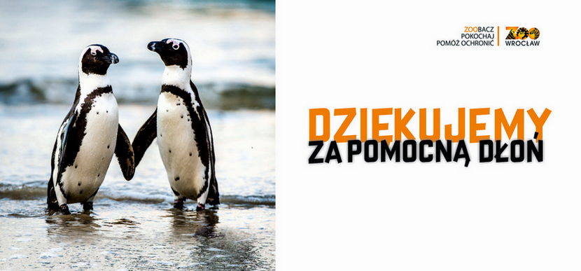 Chcesz pomóc Zoo Wrocław? Przekaż darowiznę