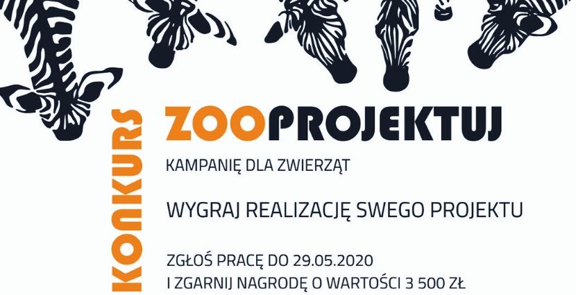 ZOOprojektuj kampanię dla zwierząt