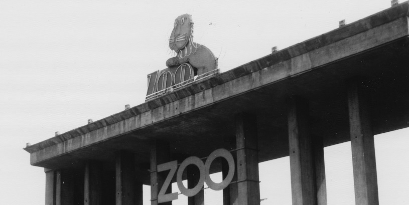 155 lat Zoo Wrocław