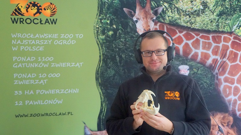 Zobacz, pokochaj i pomóż ochronić – zajęcia edukacyjne w Zoo Wrocław