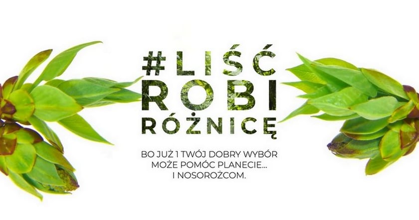 „Liść robi różnicę”– start proekologicznej kampanii społecznej