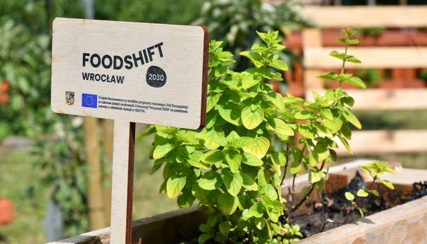 FoodSHIFT 2030 - ogrody warzywne w placówkach edukacyjnych