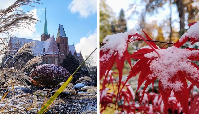 Ogród Botaniczny zimą