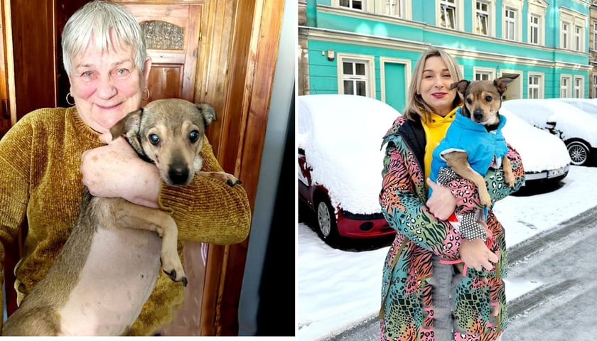 Pies Sara ze swoją właścicielką (z lewej) i z Katarzyną Szakowską z Ekostraży (z prawej) już po zabiegu usunięcia guza