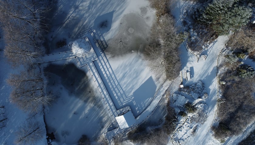 <p>Arboretum Leśne.&nbsp;<span style="color: #050505; font-family: 'Segoe UI Historic', 'Segoe UI', Helvetica, Arial, sans-serif; font-size: 15px;">Alpinarium 1997</span></p>