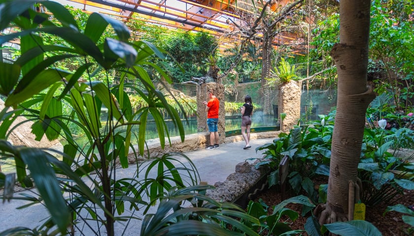 Afrykarium we wrocławskim zoo