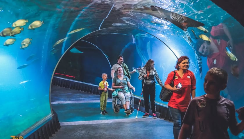 Afrykarium we wrocławskim ZOO