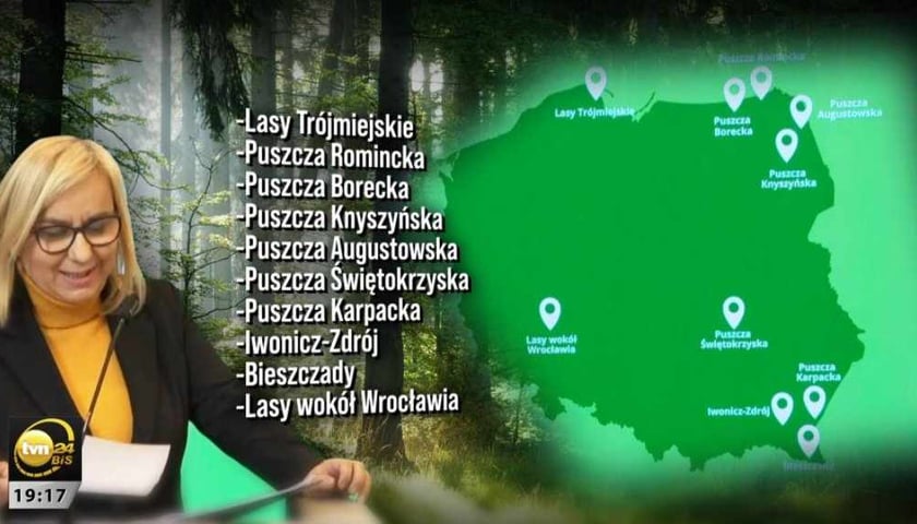 Lista lasów, w których ograniczona zostanie wycinka