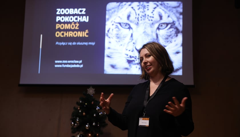 Marta Gondek, Prezes Zarządu Fundacji ZOO Wrocław-DODO