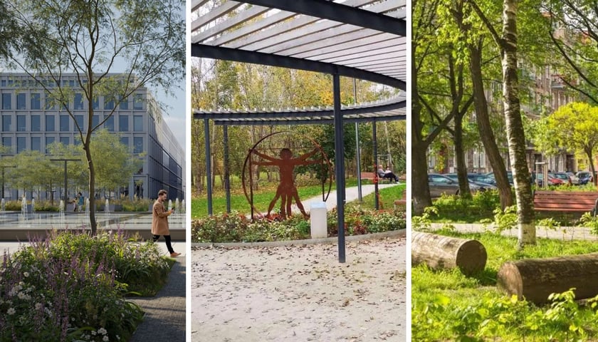 TOP 10 zielonych inwestycji w ostatnich latach we Wrocławiu - plac Nowy Targ, park Leonarda da Vinci na Gądowie i podwórko na Ołbinie w ramach projektu GrowGreen