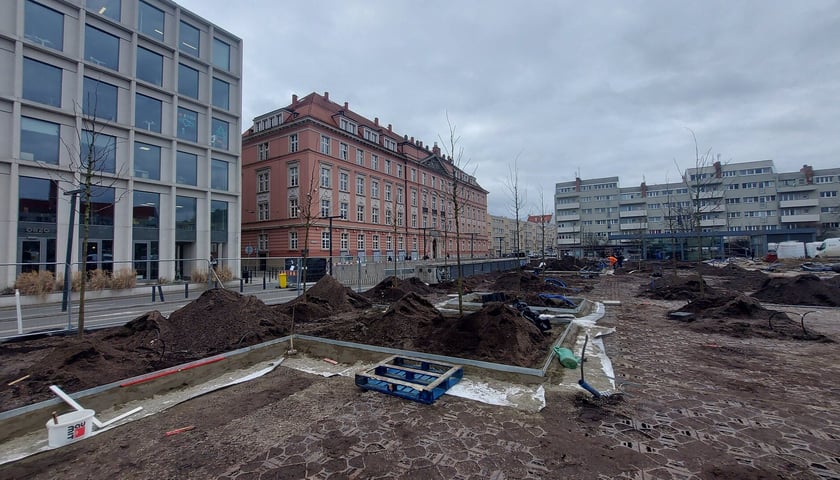 Zielona rewolucja na placu Nowy Targ trwa w najlepsze