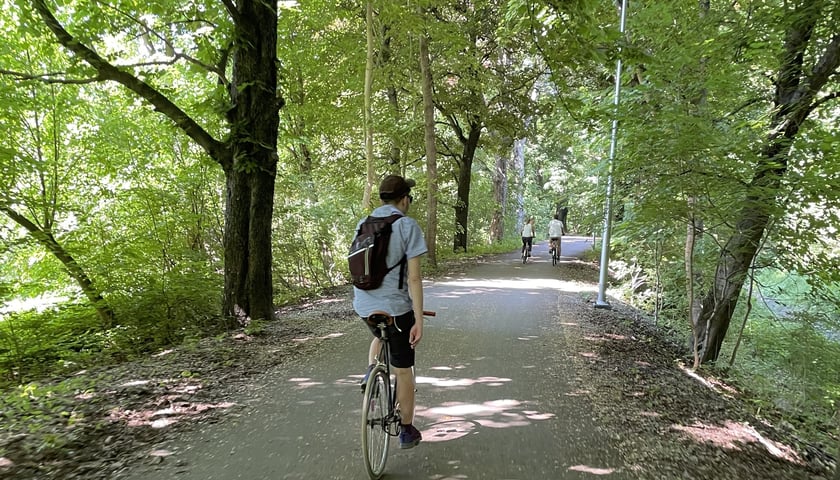Rowerzysta jadący trasą rowerową wśród zieleni i drzew