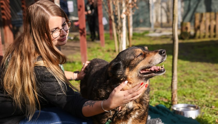 Dzień otwarty Ekostraży. Młoda kobieta z psem do adopcji