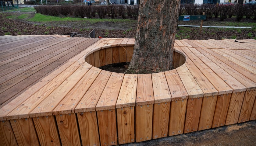 Budowa drewnianego siedziska w centrum Wrocławia