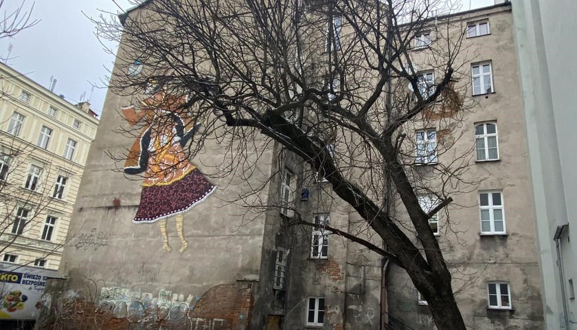 Powiększ obraz: <p>Kasztanowiec na skwerze przy ul. Dąbrowskiego będzie miał lepsze warunki</p>