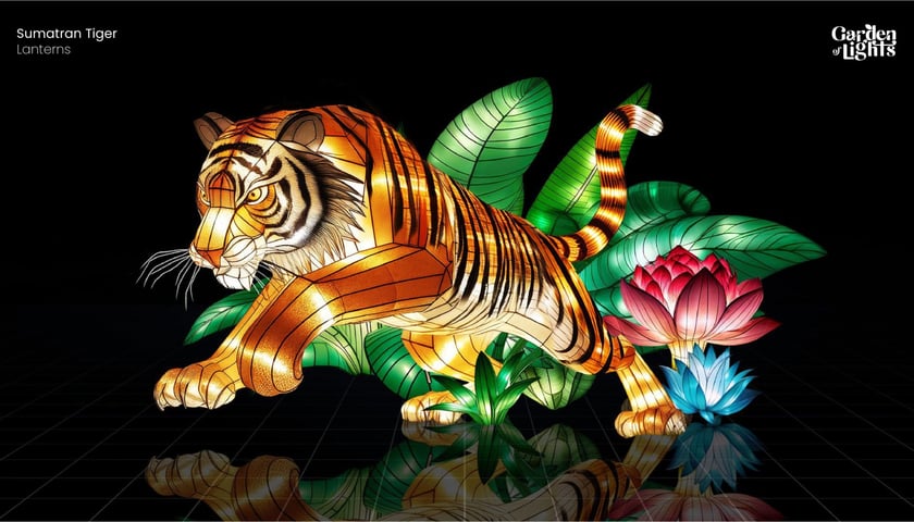 Powiększ obraz: <p>Wizualizacja Garden of Lights "Dzika Azja" - tygrys sumatrzański</p>