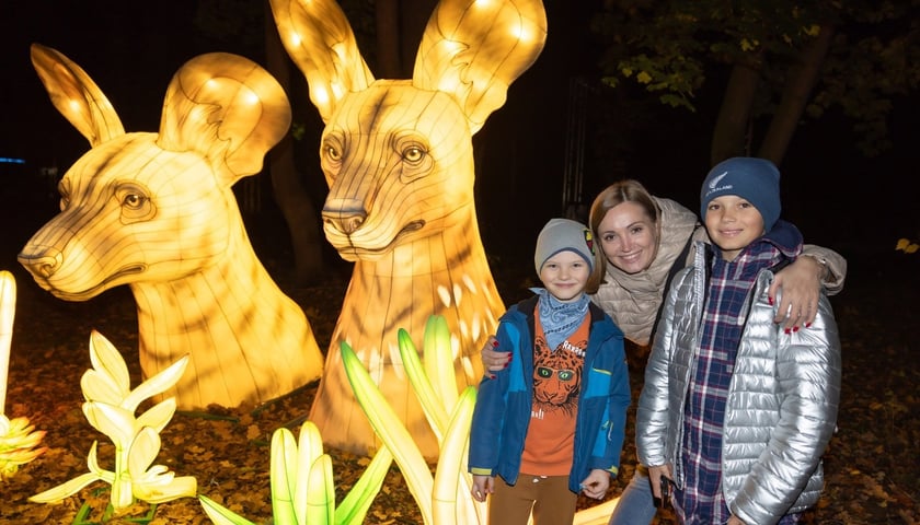 Powiększ obraz: Zwiedzający i podświetlone zwierzęta z wystawy Garden of Lights "Dzika Afryka"