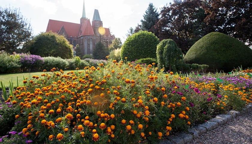 Na zdjęciu plenery ogrodu botanicznego