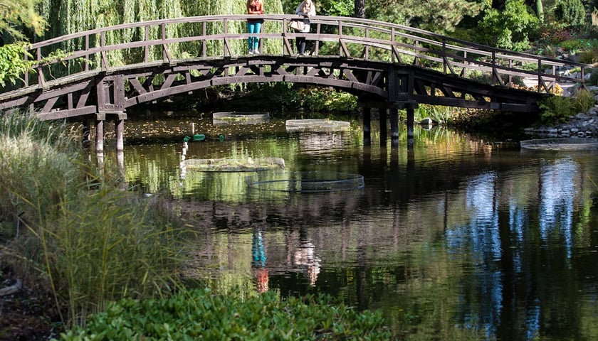 Wrocławski Ogr&oacute;d Botaniczny otwiera się już 1 kwietnia. I to nie prima aprilis.&nbsp;