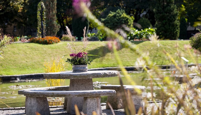 Wrocławski Ogr&oacute;d Botaniczny otwiera się już 1 kwietnia. I to nie prima aprilis.&nbsp;