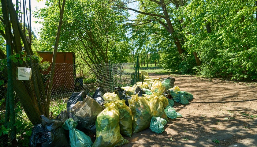Sprzątanie Lasu Kuźnickiego, 27.04.2024