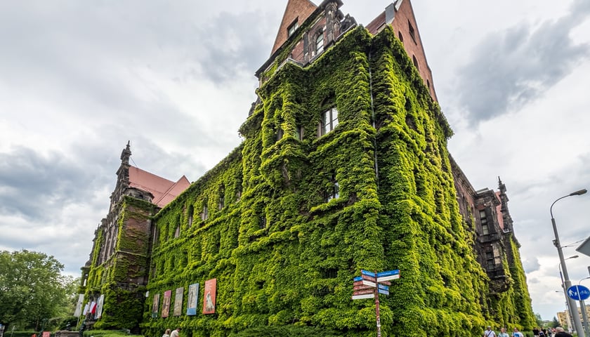 Muzeum Narodowe we Wrocławiu w wiosennej odsłonie. Adres: plac Powstańców Warszawy 5