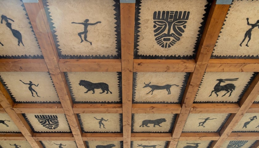 Budowa nowej lwiarni we wrocławskim Zoo na ostatniej prostej