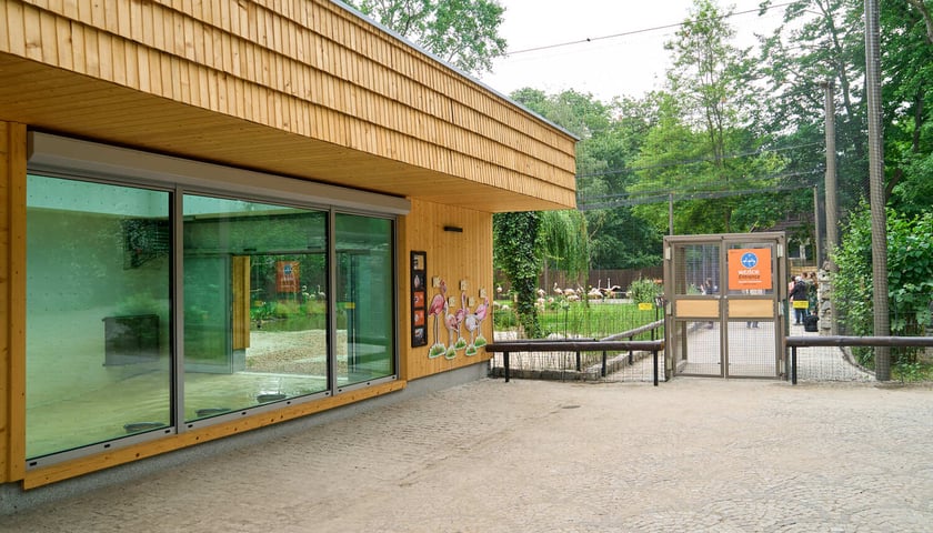 Nowy dom flamingów