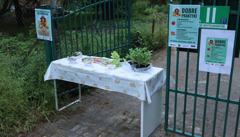 Wrocław i ROD nie marnuje – akcja się rozwija!
