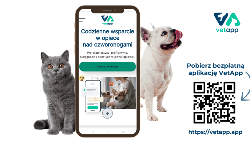 Aplikacja VetApp dla opiekunów czworonogów - kod QR do pobrania i komórka z widokiem na aplikację, obok pies i kot