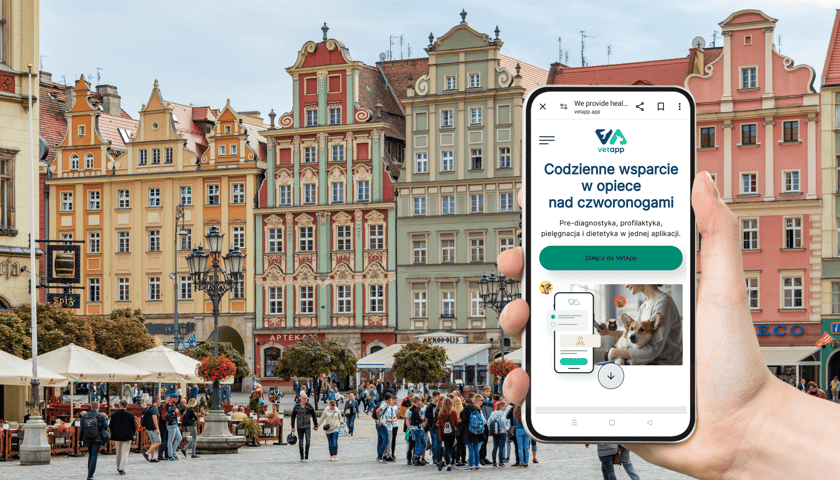Aplikacja VetApp w komórce i napis "Codzienne wsparcie w opiece nad czworonogami", w tle wrocławski Rynek