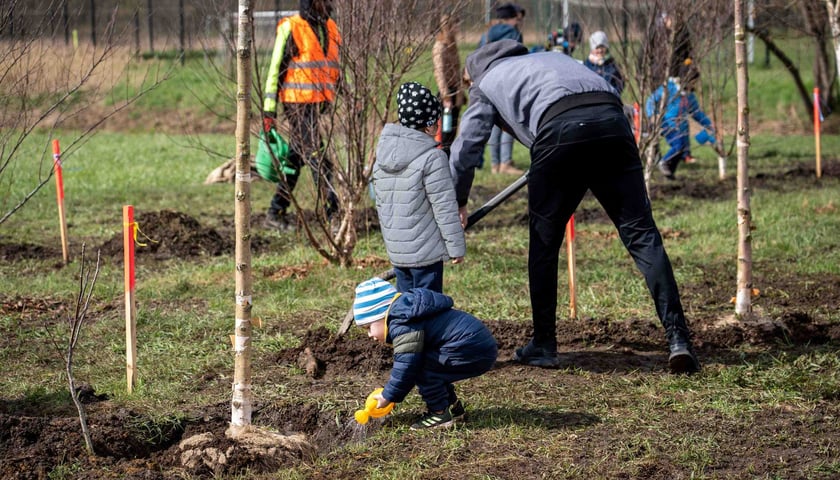 Sadzenie drzewa w ramach akcji WROśnij we WROcław 