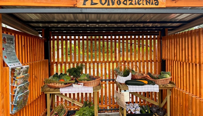 „Wrocław i Rodzinne Ogrody Działkowe nie marnują” - akcja miasta i działkowców