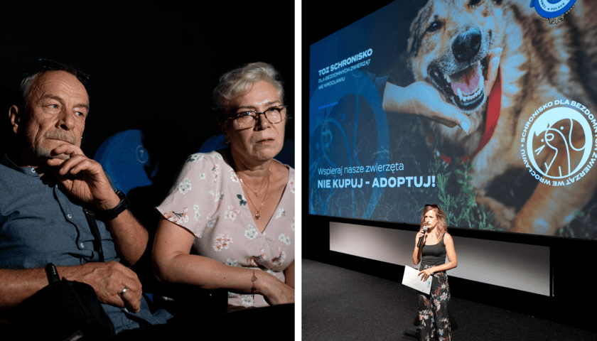 Premiera spotu adopcyjnego wrocławskiego schroniska dla bezdomnych zwierząt