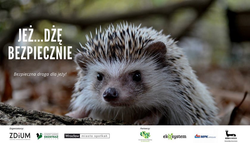 JEŻdżę bezpiecznie - plakat projektu