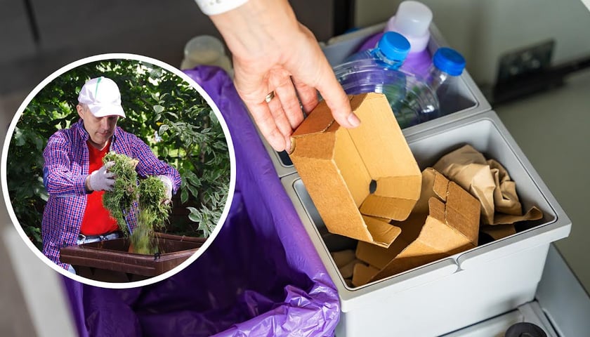 Segregacja odpadów, widać kosze z papierem i plastikiem, w kółku mężczyzna ma w rękach trawę