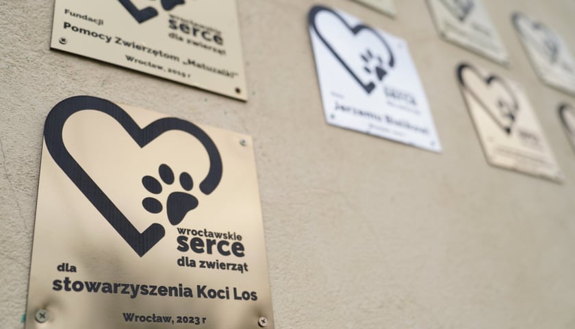 Tabliczki z laureatami miejskiego odznaczenia -  WTWK Partynice
