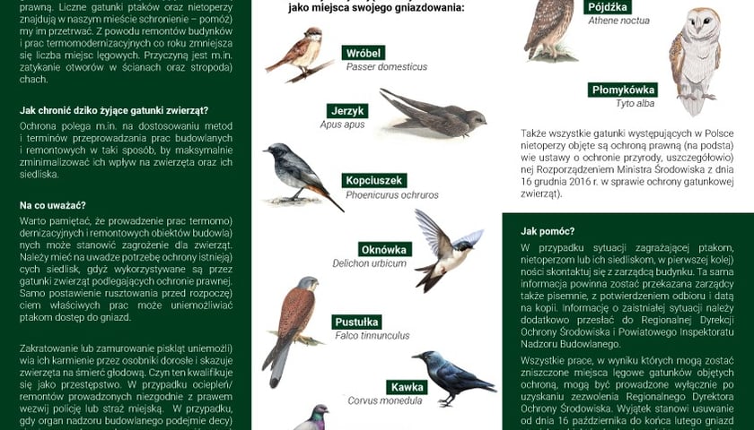 Materiał informacyjny