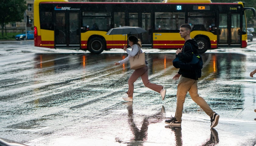 <p>Deszczowa pogoda we Wrocławiu. Piesi i autobus na Rondzie Reagana. Zdjęcie wykonane we wrześniu 2022.</p>
