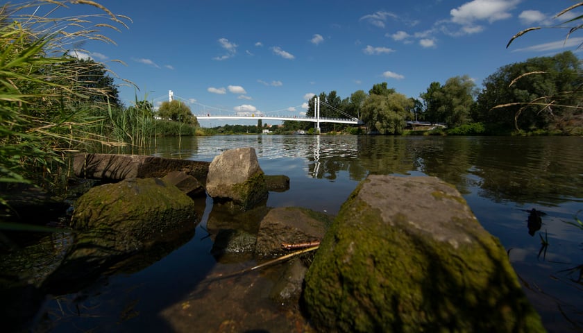 Odra we Wrocławiu, zdjęcie ilustracyjne