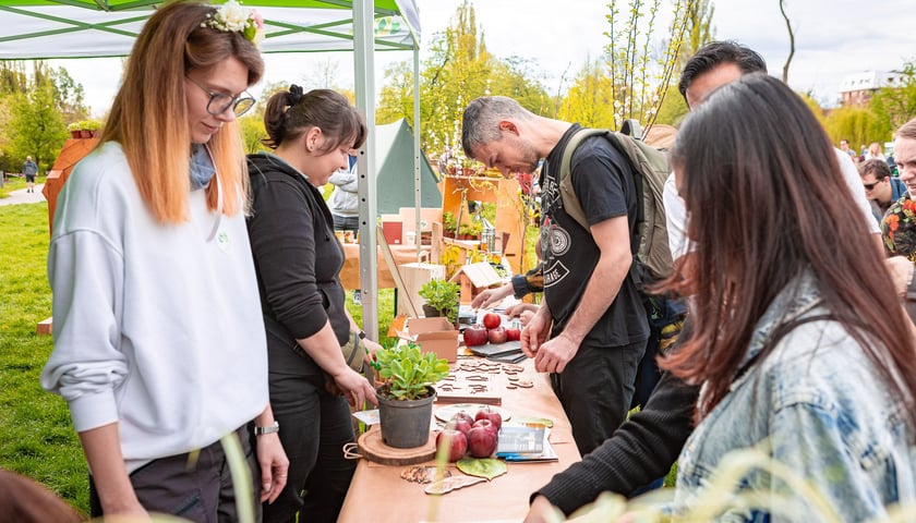 Piknik, zdjęcie ilustracyjne