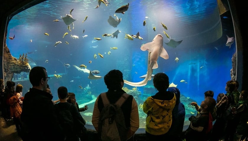 Afrykarium we wrocławskim zoo