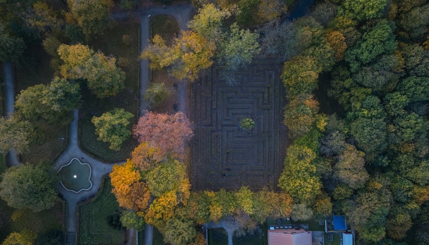 Labirynt w parku Brochowskim jesienią, widok z góry