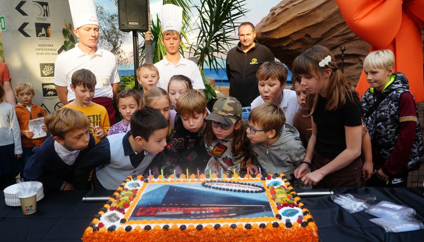 Tort na 10. urodziny Afrykarium - 26.10.2024