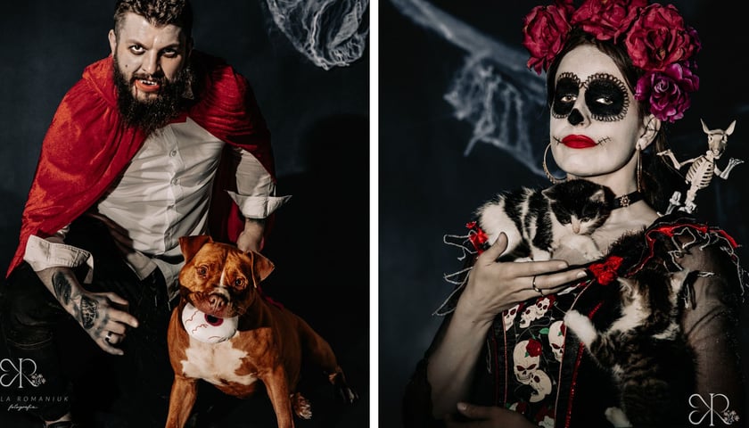Niezwykła sesja na Halloween z pracownikami i zwierzętami z wrocławskiego schroniska 