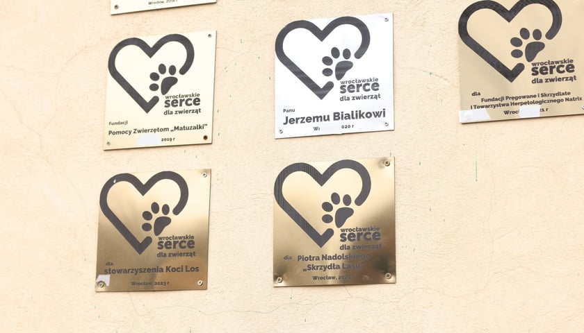 Wrocławskie Serce dla Zwierząt 2024 - uroczystość wręczenia nagród
