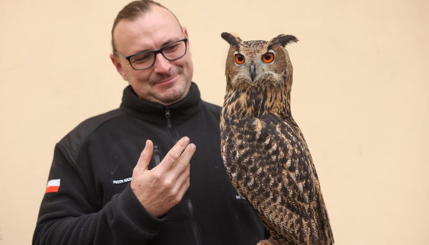 Piotr Nadolski, założyciel i prezes działającej od 6 lat Fundacji Skrzydła Lasu