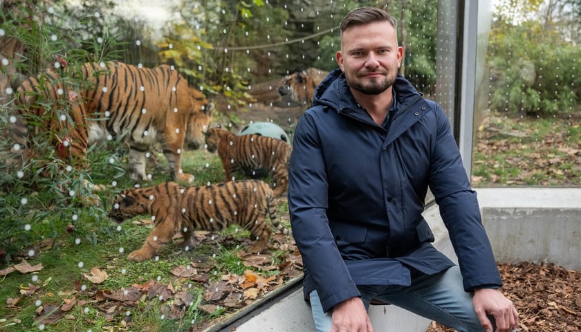 Tomasz Jóźwik, Prezes Zarządu ZOO Wrocław