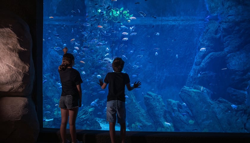 Afrykarium